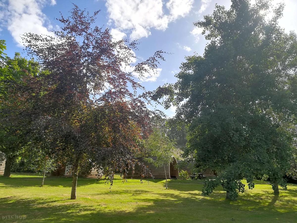 Caplor Glamping & Lodges Hereford Exterior photo