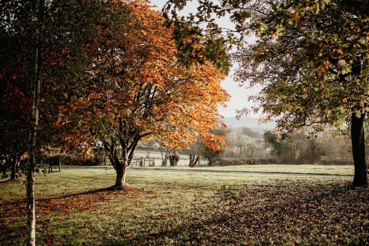 Caplor Glamping & Lodges Hereford Exterior photo